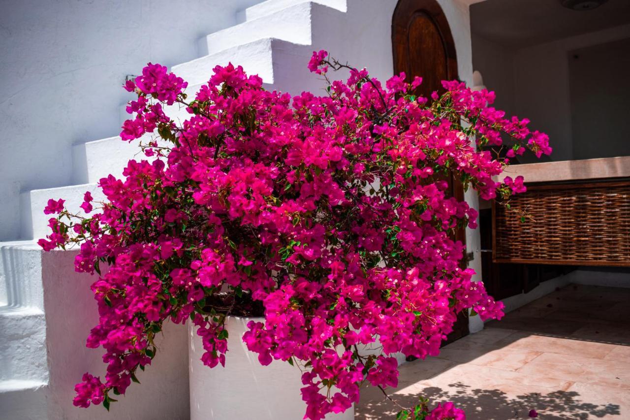 Hotel Aguamarina Boutique (Adults Only) Cartagena  Exterior foto